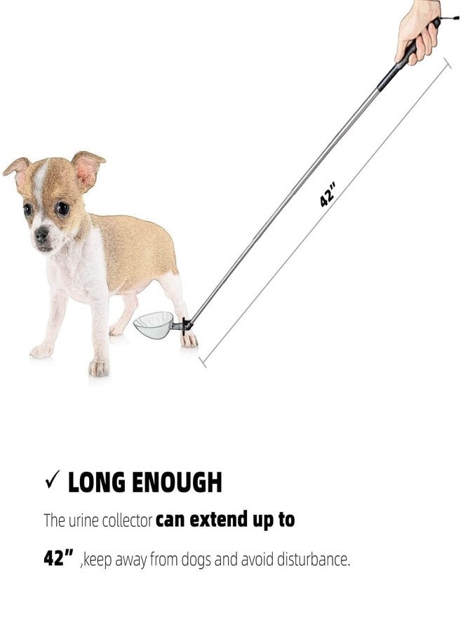 iNenya Dog Cat Urine Collector- Telescopic Handled Dog Pee Sample Catcher for Veterinary Supplies, Urine Stick for Small Large Female Dogs Extends to 42" - Image 3
